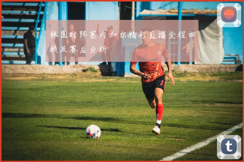 孙兴O的足球传奇之路：从青涩少年到世界顶级前锋的成长故事